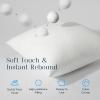 image:imagePhantoscope Premium 12x20 Throw Pillow Inserts UltraSoft Air Layer Pillow Inserts Down Alternative Decorative Throw Pillows for Couch Bedroom Lumbar Cushion Sham Stuffer Pack of 218x18 Inch