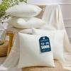 image:imagePhantoscope Premium 12x20 Throw Pillow Inserts UltraSoft Air Layer Pillow Inserts Down Alternative Decorative Throw Pillows for Couch Bedroom Lumbar Cushion Sham Stuffer Pack of 218x18 Inch