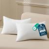 image:imagePhantoscope Premium 12x20 Throw Pillow Inserts UltraSoft Air Layer Pillow Inserts Down Alternative Decorative Throw Pillows for Couch Bedroom Lumbar Cushion Sham Stuffer Pack of 212x20 Inch