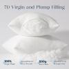 image:imagePhantoscope Premium 12x20 Throw Pillow Inserts UltraSoft Air Layer Pillow Inserts Down Alternative Decorative Throw Pillows for Couch Bedroom Lumbar Cushion Sham Stuffer Pack of 212x20 Inch