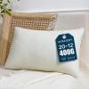image:imagePhantoscope Premium 12x20 Throw Pillow Inserts UltraSoft Air Layer Pillow Inserts Down Alternative Decorative Throw Pillows for Couch Bedroom Lumbar Cushion Sham Stuffer Pack of 212x20 Inch