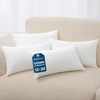 image:imagePhantoscope 18x18 Pillow Inserts Square Decorative Throw Pillows for Couch Bed 100 Virgin Fiber Fluffy Cushion Forms Pack of 112x20 Inch