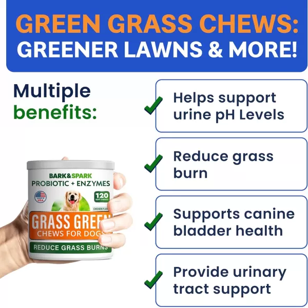 BarkampampSpark Dog Probiotics ampamp Digestive Enzymes Gut Health Allergy ampamp Itchy Skin  Pet Diarrhea Gas Treatment Upset Stomach Relief Digestion Health Prebiotic Supplement Tummy Treat 180Ct ChickenChicken Liver