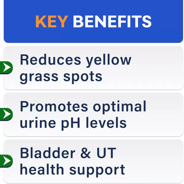 BarkampampSpark Dog Probiotics ampamp Digestive Enzymes Gut Health Allergy ampamp Itchy Skin  Pet Diarrhea Gas Treatment Upset Stomach Relief Digestion Health Prebiotic Supplement Tummy Treat 180Ct ChickenChicken Liver