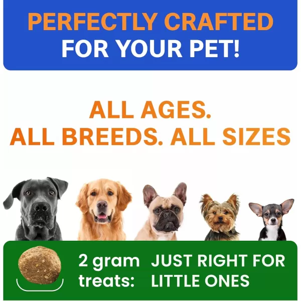 BarkampampSpark Dog Probiotics ampamp Digestive Enzymes Gut Health Allergy ampamp Itchy Skin  Pet Diarrhea Gas Treatment Upset Stomach Relief Digestion Health Prebiotic Supplement Tummy Treat 180Ct ChickenChicken Liver