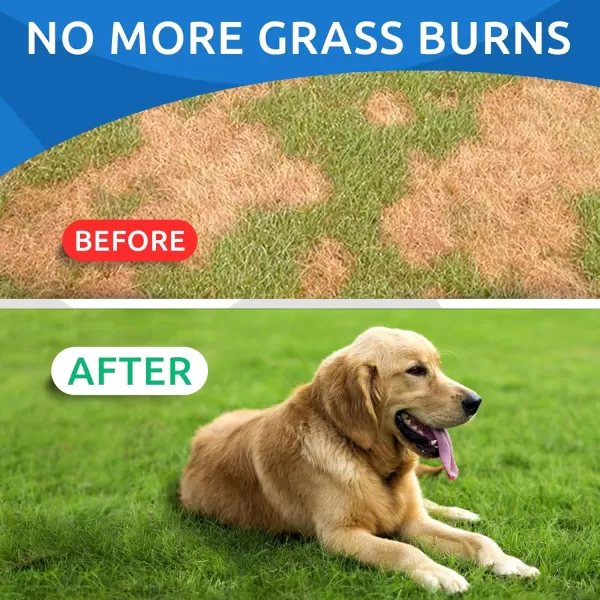 BARKampampSPARK AllNatural Grass Burn Spot Chews for Dogs  Pee Lawn Spot Saver  Grass Restore Treats  Dog Urine Neutralizer Solution for Grass Burn Spots  Made in USA  120 ChewsChicken