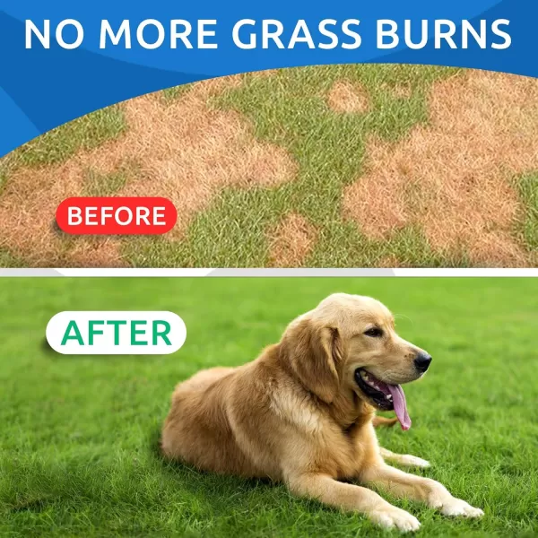 AllNatural Grass Treatment for Dog Urine Bundle  Grass Restore Treats for Dogs  Pee Lawn Repair Chews w Probiotics  Dog Urine Neutralizer Solution for Grass Burn Spots  Made in USA