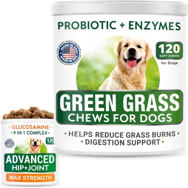 imageGrass Treatment for Dog Urine  Glucosamine Treats Bundle  Grass Restore  Hip ampamp Joint Care  Probiotics  Chondroitin Omega3  Old Dog Joint Pain Relief  Urine Neutralizer Solution  240Ct