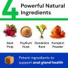 imageBARKampampSpark Gland Guard  Anal Gland Support  Scoot Treatment  Prebiotics ampamp Digestive Enzymes Supplement for Dogs Digestion ampamp Gut Health Proprietary Blend Beet Psyllium Dandelion ampamp Pumpkin 120CtBacon