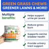 imageNo Poo Chews for Dogs  Coprophagia ampamp Stool Eating Deterrent with Probiotics Digestive Enzymes ampamp Breath Aid Support  Stop Dog Poop Eating  Made in USA  120 Soft ChewsChicken Liver
