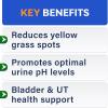 imageNo Poo Chews for Dogs  Coprophagia ampamp Stool Eating Deterrent with Probiotics Digestive Enzymes ampamp Breath Aid Support  Stop Dog Poop Eating  Made in USA  120 Soft ChewsChicken Liver