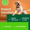 imageNo Poo Chews for Dogs  Coprophagia ampamp Stool Eating Deterrent with Probiotics Digestive Enzymes ampamp Breath Aid Support  Stop Dog Poop Eating  Made in USA  120 Soft Chewsapple flavor