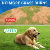 imageAllergy Relief  Grass Treatment for Dog Urine Bundle  Itchy Skin Relief  Grass Restore  Omega 3  Pumpkin  Enzymes  Probiotics  Seasonal Allergies  Pee Lawn Repair  240 Chews  Made in USA