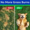 imageBARKampampSPARK Dog Probiotics for Digestive Health ampamp Enzymes  Diarrhea Gas Upset Stomach Relief ampamp Season Allergy  Chews for Digestion  Pet Probiotics for Dogs 60Ct ChickenGreen Grass