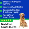 imageBARKampampSPARK Dog Probiotics for Digestive Health ampamp Enzymes  Diarrhea Gas Upset Stomach Relief ampamp Season Allergy  Chews for Digestion  Pet Probiotics for Dogs 60Ct ChickenGreen Grass