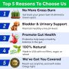 imageBARKampampSPARK Dog Probiotics for Digestive Health ampamp Enzymes  Diarrhea Gas Upset Stomach Relief ampamp Season Allergy  Chews for Digestion  Pet Probiotics for Dogs 60Ct ChickenGreen Grass