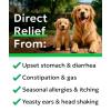 imageBARKampampSPARK Dog Probiotics for Digestive Health ampamp Enzymes  Diarrhea Gas Upset Stomach Relief ampamp Season Allergy  Chews for Digestion  Pet Probiotics for Dogs 60Ct ChickenProbiotic Chews
