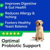 imageBARKampampSPARK Dog Probiotics for Digestive Health ampamp Enzymes  Diarrhea Gas Upset Stomach Relief ampamp Season Allergy  Chews for Digestion  Pet Probiotics for Dogs 60Ct ChickenProbiotic Chews