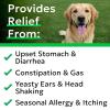 imageBARKampampSPARK Dog Probiotics for Digestive Health ampamp Enzymes  Diarrhea Gas Upset Stomach Relief ampamp Season Allergy  Chews for Digestion  Pet Probiotics for Dogs 60Ct ChickenProbiotic Chews