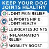 imageGlucosamine Bacon Flavor  Dog Probiotics Bundle  Joint Pain Relief  Gas Diarrhea Relief  Chondroitin MSM Omega3  Digestive Enzymes Prebiotics  Chewable Fiber  240 Soft Chews  Made in USA