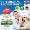 imageGlucosamine Dog Chews Bundle  Joint Pain Relief Supplement  Advanced Hip ampamp Joint Support Formula with Chondroitin MSM Omega3  Hip ampamp Joint Care  Made in USA  Bacon  Chicken Flavor  300 Chews