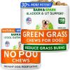 imageNo Poo Chews  Green Grass Dog Chews Bundle  Pee Grass Spot Saver Caused by Dog Urine  Digestive Enzymes ampamp Breath Aid Support  Digestion Supplement Treat