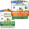 imageGreen Grass Dog Chews  Dog Probiotics Bundle  Pee Grass Spot Saver Caused by Dog Urine  Digestive Enzymes ampamp Gas Diarrhea Constipation Relief Supplement  Made in USA