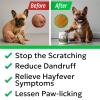 imageBARKampampSPARK Dog Allergy Relief Chews  AntiItch Skin ampamp Coat Supplement  Omega 3 Fish Oil  Itchy Skin Relief Treatment Pills  ItchingampampPaw Licking  Dry SkinampampHot Spots  60 Immune Treats  ChickenChicken