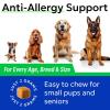 imageBARKampampSPARK Dog Allergy Relief Chews  AntiItch Skin ampamp Coat Supplement  Omega 3 Fish Oil  Itchy Skin Relief Treatment Pills  ItchingampampPaw Licking  Dry SkinampampHot Spots  60 Immune Treats  ChickenChicken