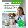 imageBARKampampSPARK Advanced Omega3 Collagen for Dogs  180 Fish ampamp Salmon Oil Treats for Dog Shedding Skin Allergy Chews Itch Relief Hot Spots Treatment  Jointm Skin ampamp Coat Supplement EPAampampDHA Fatty AcidsBacon