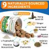 imageBARKampampSPARK Advanced Calming Chews for Dogs  Hemp Chew  Melatonin  Anxiety Relief  Sleep Aid  Relaxing Treats  Stress Relief During Fireworks Storms Thunder Barking  Made in USA  60CtCalming Hemp Anxiety  Stress