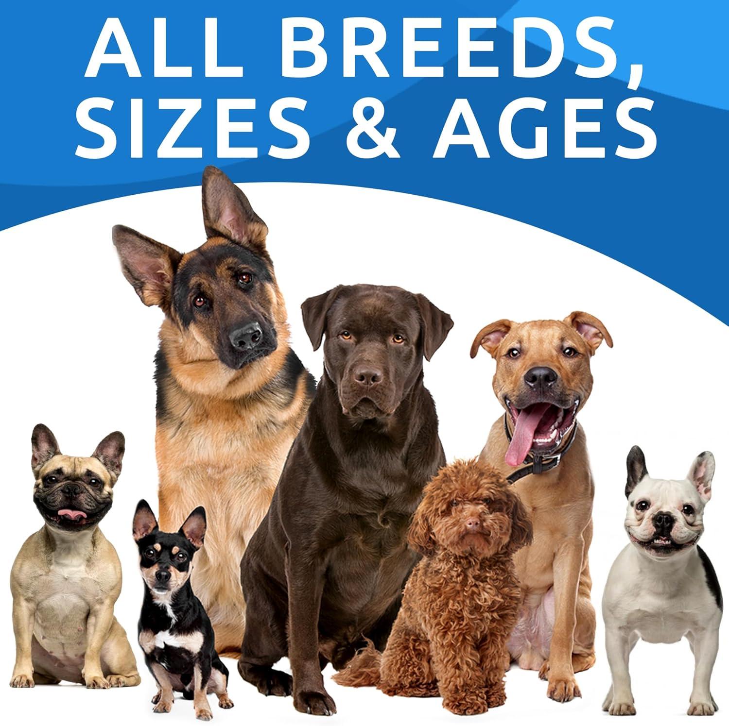 imageBARKampampSPARK Advanced Collagen  Omega3 Formula for Dogs  180 Fish Oil Treats for Dog Shedding Itch ampamp Allergy Relief Hot Spots Hip ampamp Joint and Skin ampamp Coat Supplement  Biotin EPA ampamp DHA Fatty AcidsGrilled Chicken