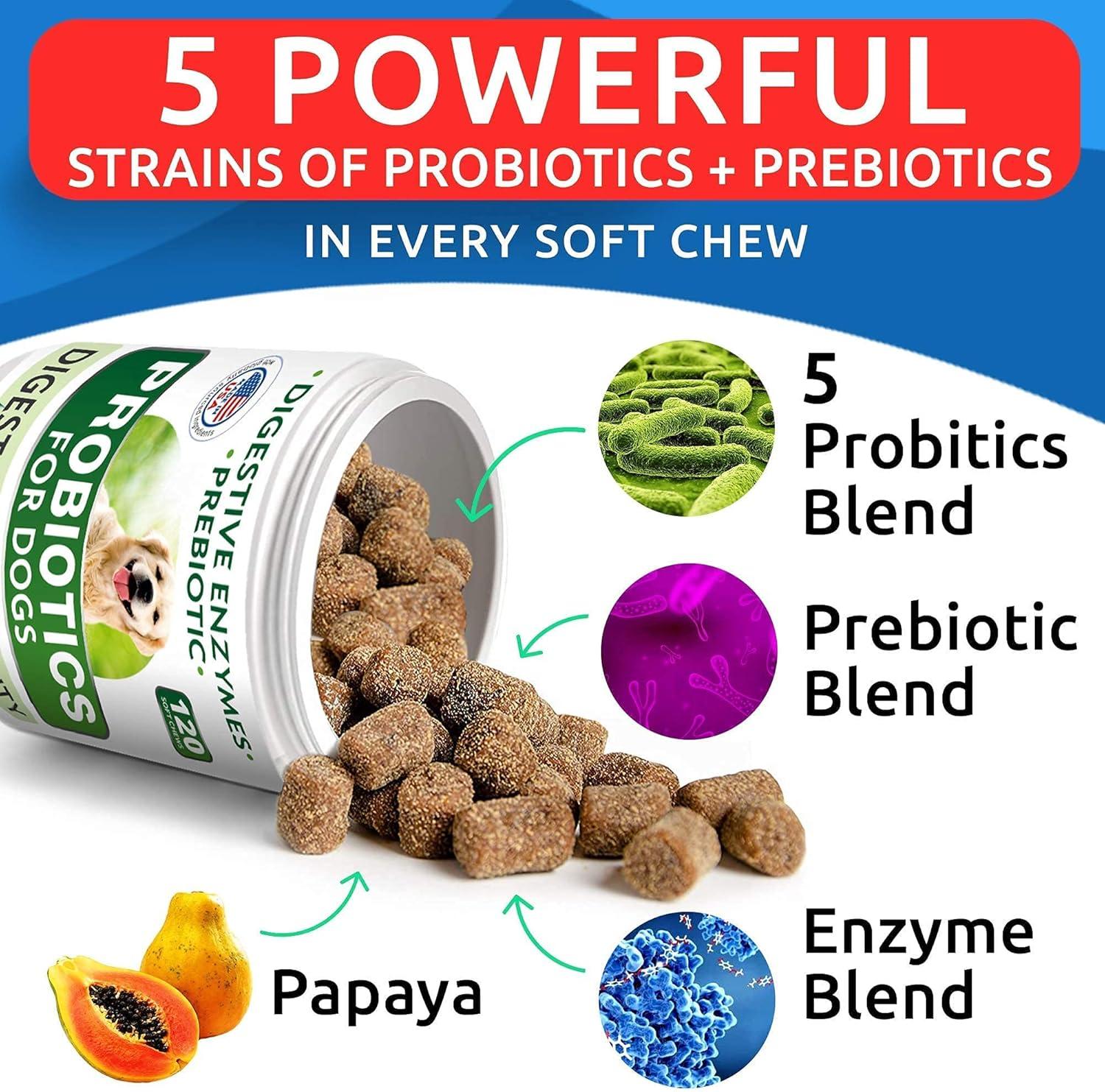 imageDog Probiotics Chews  AllNatural Grass Treatment for Dog Urine  Gas Diarrhea Allergy Constipation Upset Stomach Relief  Grass Saving for Dogs  Pee Lawn Repair  Dog Urine Neutralizer