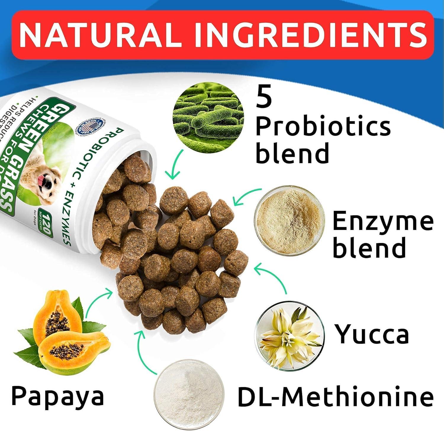 imageDog Probiotics Chews  AllNatural Grass Treatment for Dog Urine  Gas Diarrhea Allergy Constipation Upset Stomach Relief  Grass Saving for Dogs  Pee Lawn Repair  Dog Urine Neutralizer