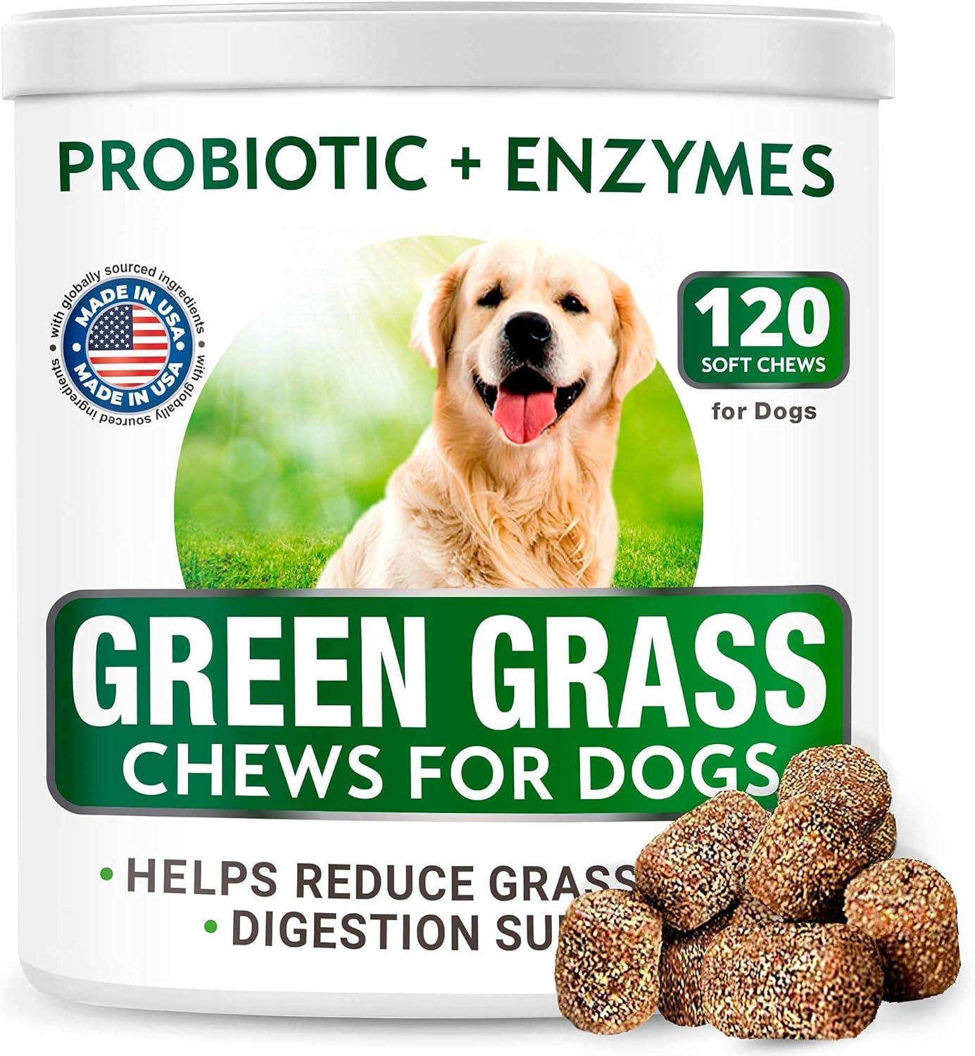 imageDog Probiotics Chews  AllNatural Grass Treatment for Dog Urine  Gas Diarrhea Allergy Constipation Upset Stomach Relief  Grass Saving for Dogs  Pee Lawn Repair  Dog Urine Neutralizer