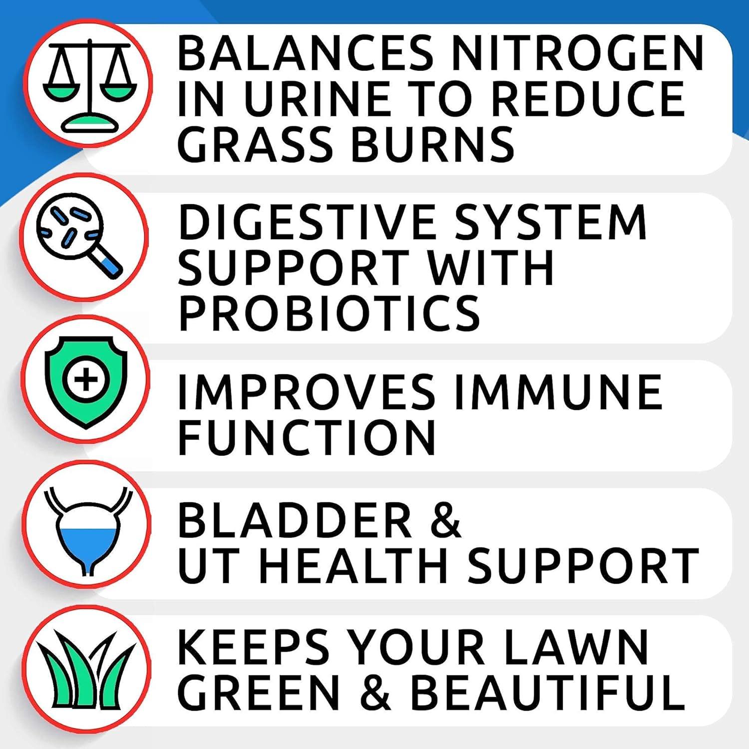 imageDog Probiotics Chews  AllNatural Grass Treatment for Dog Urine  Gas Diarrhea Allergy Constipation Upset Stomach Relief  Grass Saving for Dogs  Pee Lawn Repair  Dog Urine Neutralizer