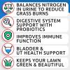 imageDog Probiotics Chews  AllNatural Grass Treatment for Dog Urine  Gas Diarrhea Allergy Constipation Upset Stomach Relief  Grass Saving for Dogs  Pee Lawn Repair  Dog Urine Neutralizer