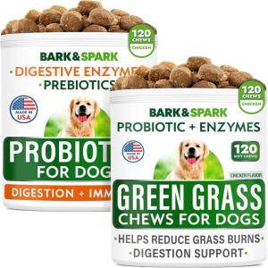 imageDog Probiotics Chews  AllNatural Grass Treatment for Dog Urine  Gas Diarrhea Allergy Constipation Upset Stomach Relief  Grass Saving for Dogs  Pee Lawn Repair  Dog Urine Neutralizer