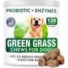 image:imageDog Probiotics Chews  Calming Hemp Treats  AllNatural Grass Treatment  Gas Diarrhea Allergy Constipation Upset Stomach Relief  Anxiety Relief  Separation Aid  Grass Saver Pee Lawn Repair