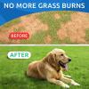 image:imageDog Probiotics Chews  Calming Hemp Treats  AllNatural Grass Treatment  Gas Diarrhea Allergy Constipation Upset Stomach Relief  Anxiety Relief  Separation Aid  Grass Saver Pee Lawn Repair