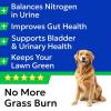 image:imageBARKampSPARK Green Grass Dog Chews  Dog Pee Grass amp Urine Neutralizer for Lawn Grass Burn Spot Chews with Probiotics amp Enzymes Helps Reduce Lawn Burn from Dog Urine 120 Soft Chews
