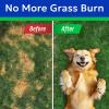 image:imageBARKampSPARK Green Grass Dog Chews  Dog Pee Grass amp Urine Neutralizer for Lawn Grass Burn Spot Chews with Probiotics amp Enzymes Helps Reduce Lawn Burn from Dog Urine 120 Soft Chews