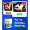 image:imageBarkampSpark Dog Teeth Cleaning Powder amp Breath Freshener Dental Powder Cleaner for Bright Teeth  Plaque and Bad Breath Advanced Remover for Dogs Pet Oral Care Bright Co Lab Pro Formula  90 Servings90 Count Powder
