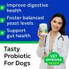 image:imageNo Poo Chews for Dogs  Coprophagia amp Stool Eating Deterrent with Probiotics Digestive Enzymes amp Breath Aid Support  Stop Dog Poop EatingProbiotic Chews