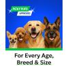 image:imageBARKampSPARK Dog Teeth Cleaning Powder amp Breath Freshener Dental Powder Cleaner for Bright Dog Teeth Plaque and Tartar Advanced Remover for Dogs Pet Oral Care with Bright Pro Formula  30 Servings30 Count Powder