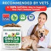 image:imageBarkampSpark Fish Oil for Dogs  Natural Omega3  Skin amp Coat Support  Liquid Food Supplement for Pets  Natural EPA  DHA Fatty Acids for Joint Function Immune amp Heart Health 8oz  SalmonVALUE 2Pack  Large Dogs 360Ct