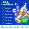 image:imageBarkampSpark Fish Oil for Dogs  Natural Omega3  Skin amp Coat Support  Liquid Food Supplement for Pets  Natural EPA  DHA Fatty Acids for Joint Function Immune amp Heart Health 8oz  Salmon8 fl oz