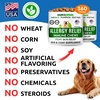 image:imageBARKampSPARK Dog Allergy Relief Soft Chews for Skin Health amp Seasonal Allergies  AntiItch Supplement wOmega3 Quercetin amp Bromelain Immune Treats for Dry Skin amp Hot Spots  Chicken Liver  360ctAllerItch Relief
