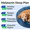 image:imageBARKampSPARK Advanced Calming Hemp Treats for Dogs  Hemp Oil  Melatonin  Anxiety Relief  Separation Aid  Stress Relief During Fireworks Storms Thunder  Aggressive Behavior Barking  180 ChewsMelatonin Sleep Chews