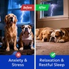 image:imageBARKampSPARK Advanced Calming Hemp Treats for Dogs  Hemp Oil  Melatonin  Anxiety Relief  Separation Aid  Stress Relief During Fireworks Storms Thunder  Aggressive Behavior Barking  180 ChewsMelatonin Sleep Chews